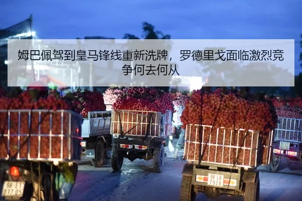 mu-ba-pei-jia-dao-huang-ma-feng-xian-chong-xin-xi-pai-luo-de-li-ge-mian-lin-ji-lie-jing-zheng-he-qu-he-cong-2-648.jpg